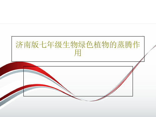 济南版七年级生物绿色植物的蒸腾作用共25页PPT