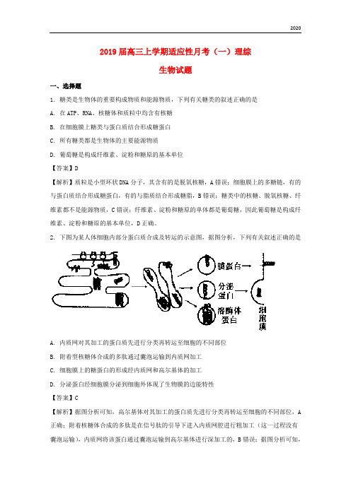 2020届高三生物上学期适应性月考试题(一)(含解析)(新版)新人教版