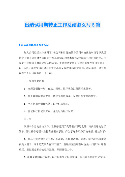 出纳试用期转正工作总结怎么写5篇