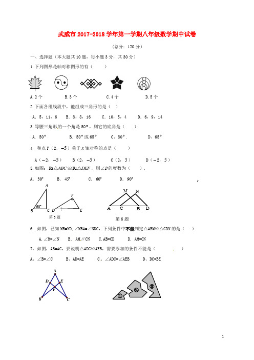 甘肃省武威市八年级数学上学期期中试题(无答案) 新人