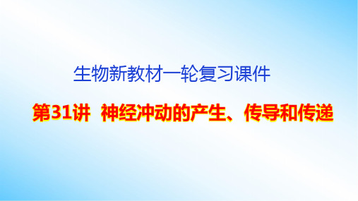 生物新教材一轮复习课件：第31讲  神经冲动的产生、传导和传递