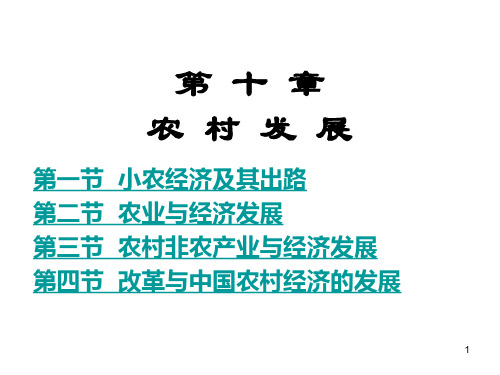 发展经济学课件9