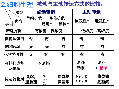 生理学重点总结ppt课件