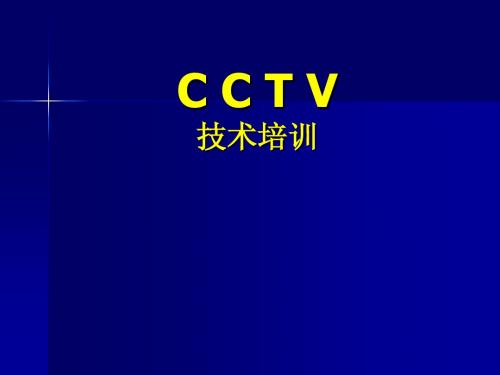 三星电子C C T V