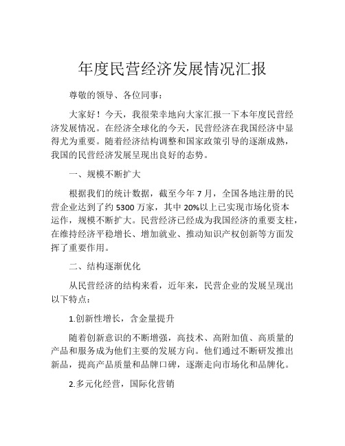 年度民营经济发展情况汇报