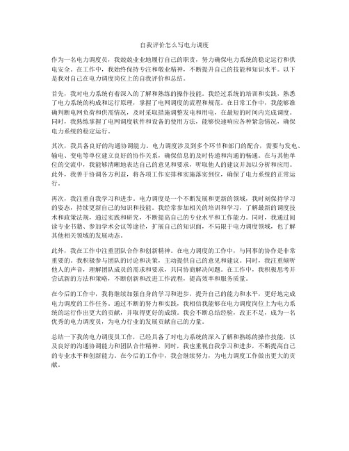 自我评价怎么写电力调度