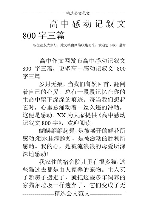 高中感动记叙文800字三篇