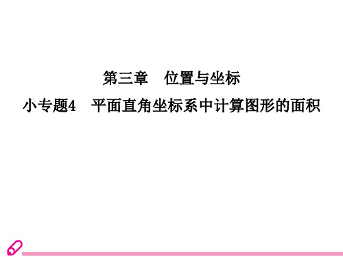 小专题4  平面直角坐标系中计算图形的面积