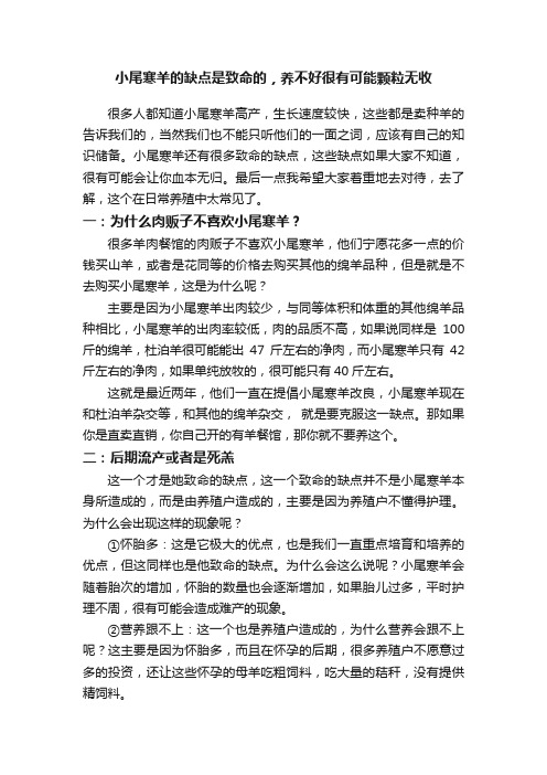 小尾寒羊的缺点是致命的，养不好很有可能颗粒无收