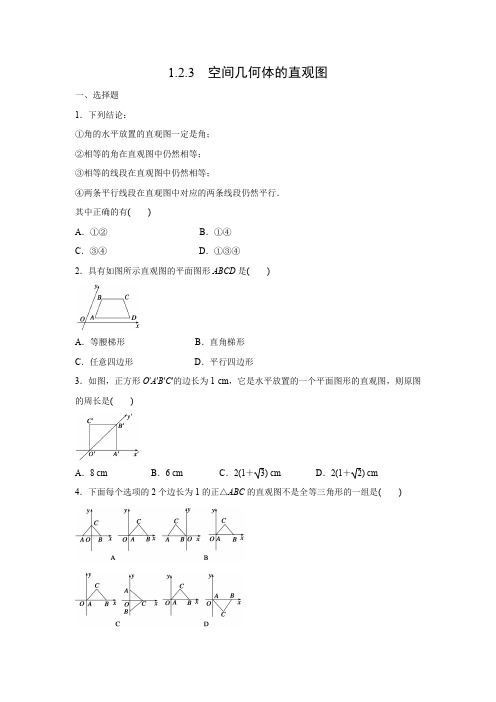 课时作业18：1.2.3  空间几何体的直观图