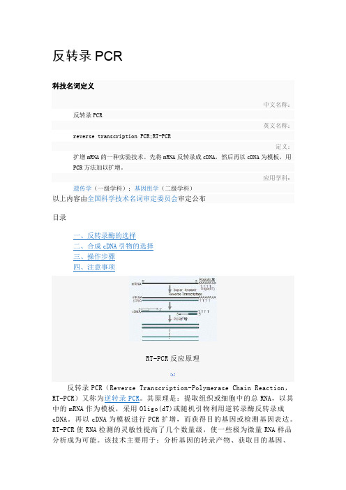 反转录PCR-步骤和方法