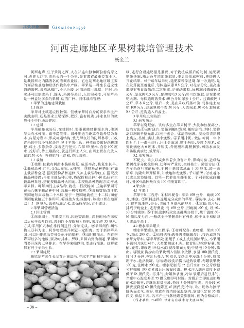 河西走廊地区苹果树栽培管理技术