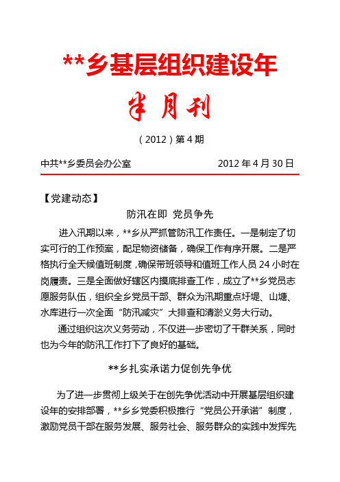 乡基层组织建设年半月刊(第4期)