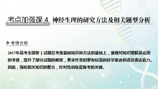 高三生物一轮复习优质课件：考点加强课4 神经生理的研究方法及相关题型分析