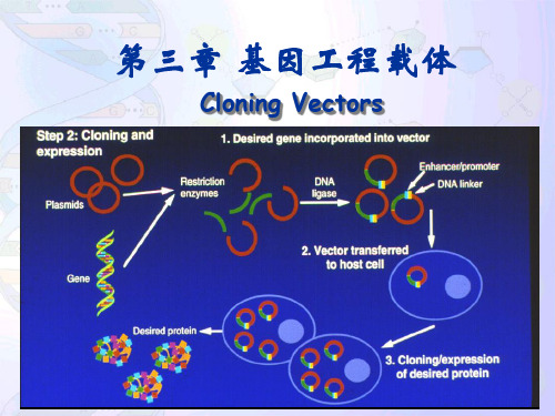 基因工程第三章2-Jun-finalversion