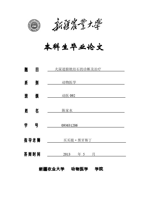 犬膀胱结石的诊治