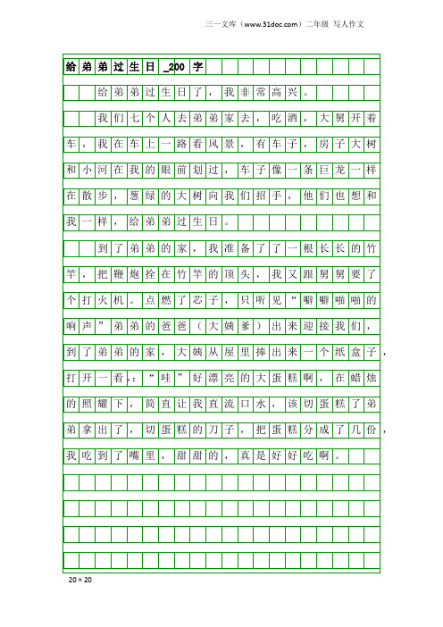 二年级写人作文：给弟弟过生日_200字