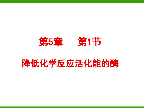 5.1 降低化学反应活化能的酶 课件(新人教版必修1)