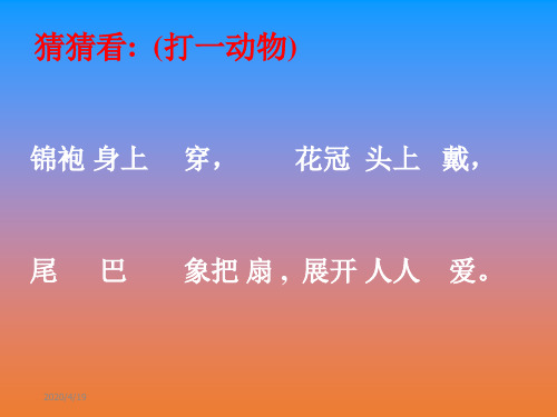 音乐《金孔雀轻轻跳 ppt课件