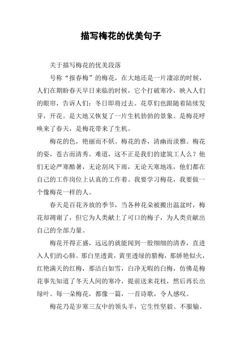 描写梅花的优美句子
