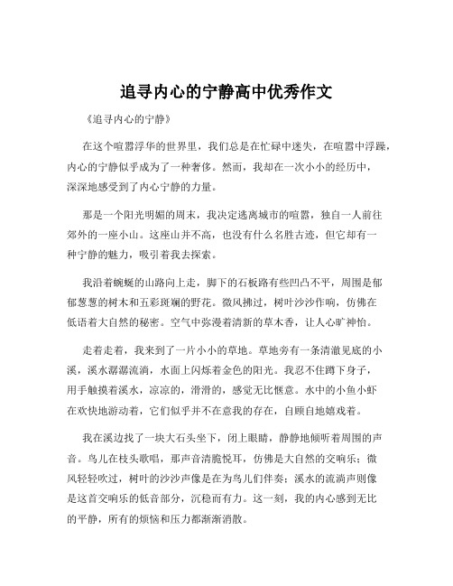 追寻内心的宁静高中优秀作文