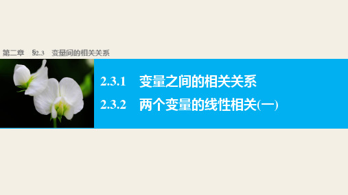 人教版高中数学 A版 必修三 第二章 《2.3.1  2.3.2变量间的相关关系》教学课件