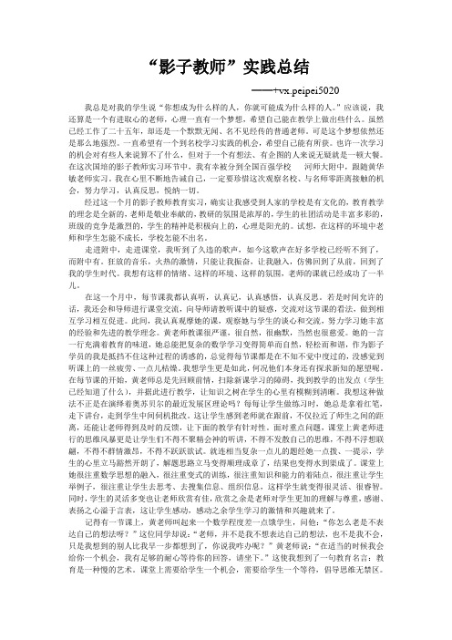 影子教师实践总结