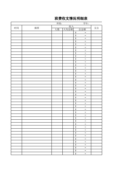 班费收支明细表模板