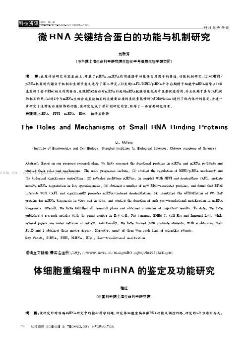 体细胞重编程中miRNA的鉴定及功能研究