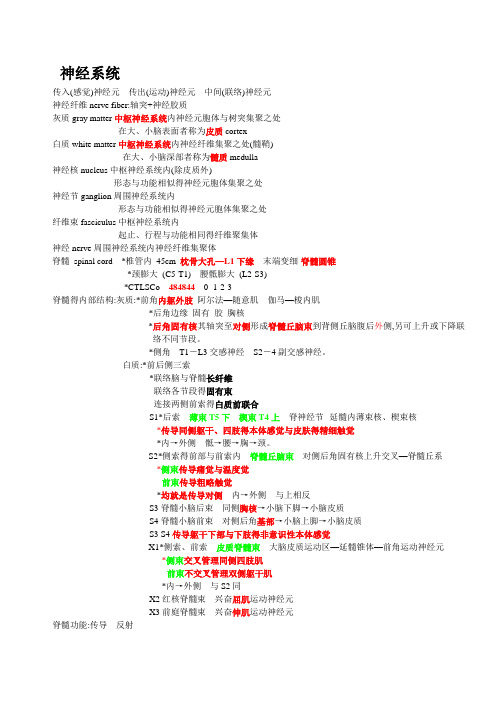 系统解剖学最全的神经系统重点