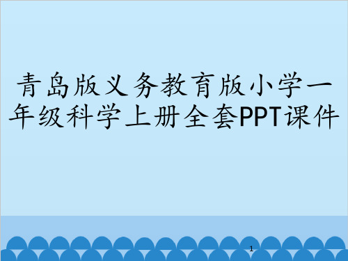 青岛版义务教育版小学一年级科学上册全套PPT课件