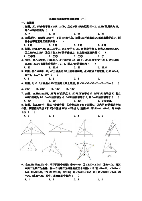 浙教版八年级上数学第一章训练试卷(3) 