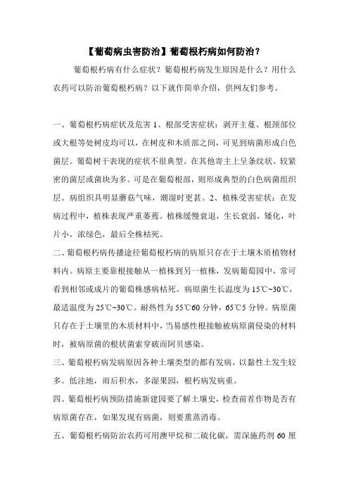 【葡萄病虫害防治】葡萄根朽病如何防治?