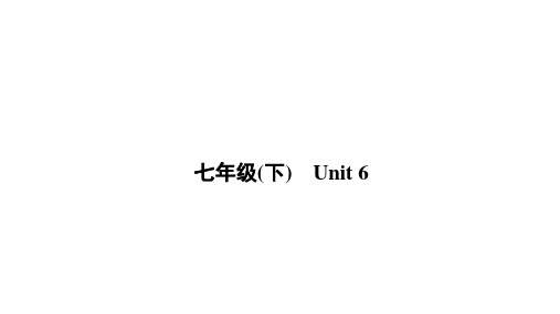 2021年河南省中考英语一轮基础复习课件  仁爱七年级(下) Unit 6