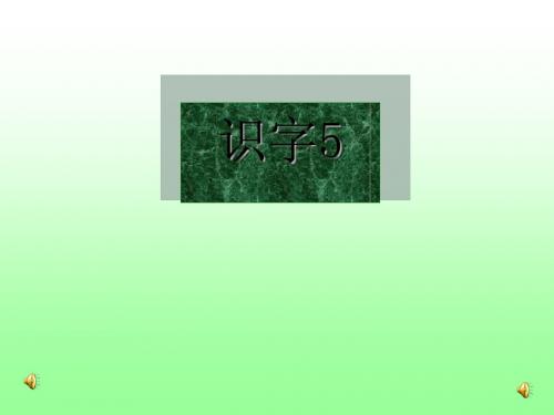 识字5完美版