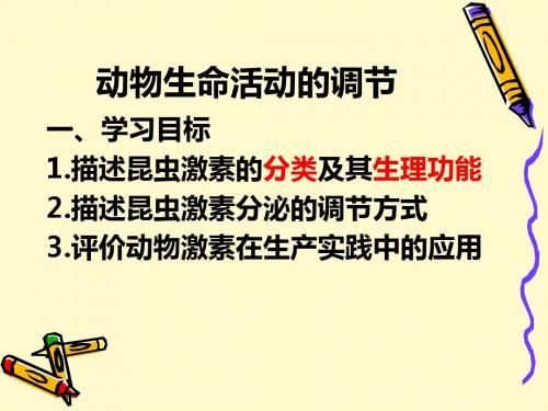 动物生命活动的调节ppt3 苏教版