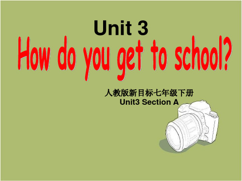 人教版七年级英语下册Unit3 Section A(1a-1c)课件