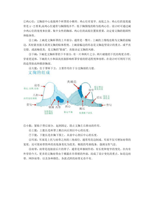 文胸结构