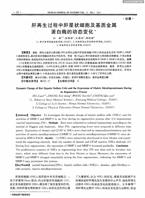 肝再生过程中肝星状细胞及基质金属蛋白酶的动态变化