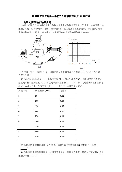 洛阳理工学院附属中学初三九年级物理电压 电阻汇编