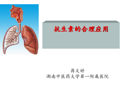 抗生素合理应用(全)