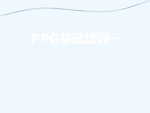 PPG基础培训