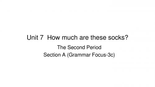 人教新目标七年级英语上册Unit 7 Section A (Grammar Focus-3c)教学课件