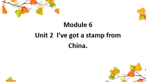 外研版六年级英语上册 Module 6 Unit2 I’ve got a stamp from China.单元课件3