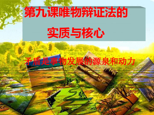 唯物辩证法的实质与核心课件