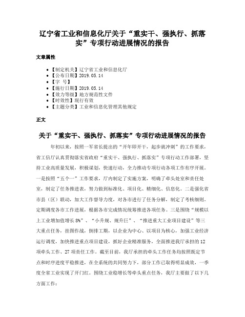 辽宁省工业和信息化厅关于“重实干、强执行、抓落实”专项行动进展情况的报告