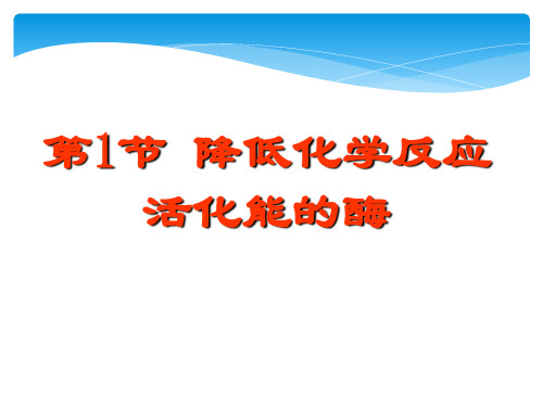 人教版生物必修一5.1《降低化学反应活化能的酶》同步讲课课件(共20张PPT)