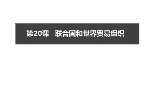 《联合国与世界贸易组织》PPT课件