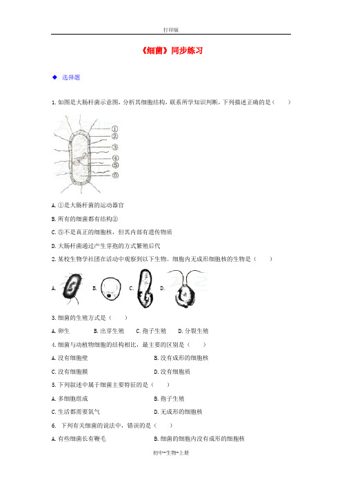 人教版生物-八年级上册5.4.2细菌练习人教版