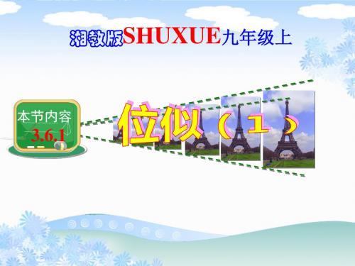 新湘教版九年级上册课件 3.6.1位似(1) (共14张PPT)